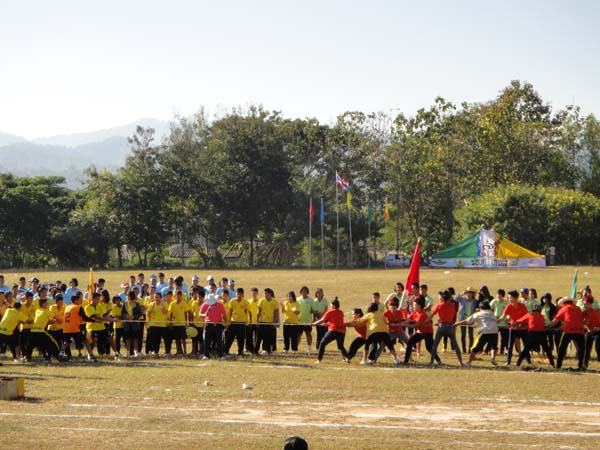 DSC03536